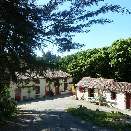 Chambres D'Hotes - B&B Getigne Exterior foto